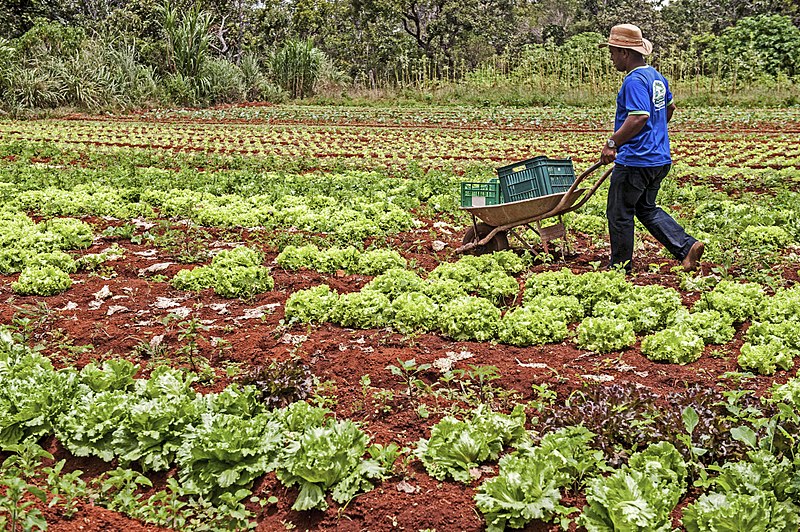 PAA 2023: Programa de Aquisição de Alimentos