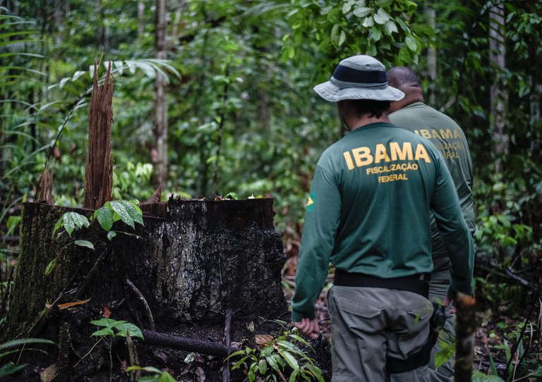 IBAMA e INCRA abrem seleção com 60 vagas temporárias para nível superior