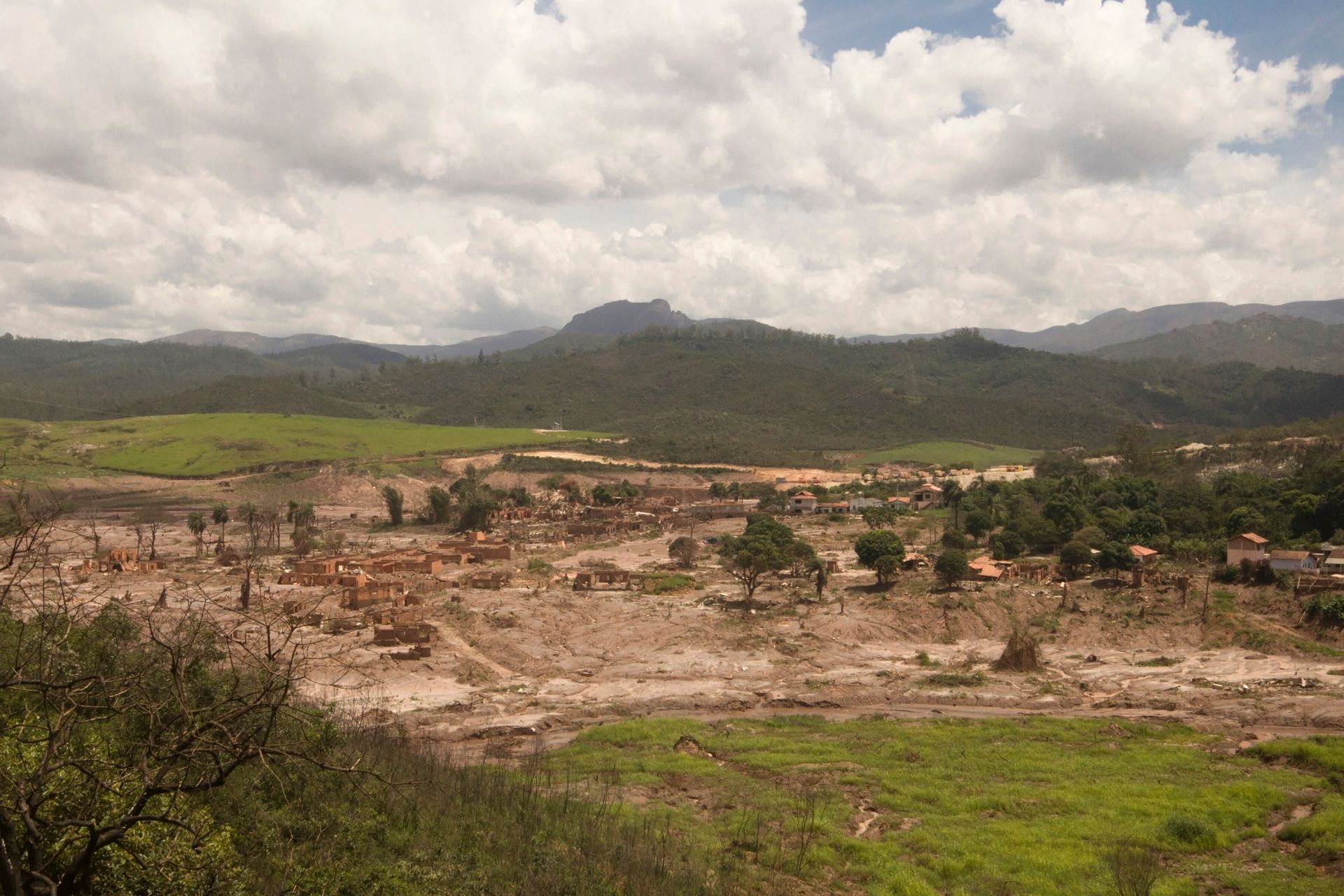 Tragédia de Mariana-MG: peixes do Rio Doce apresentam alta presença de contaminação por metais pesados e substâncias tóxicas