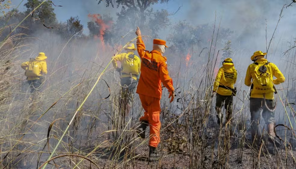 Bombeiros de MG abrem 280 vagas para brigadistas florestais com inscrições gratuitas
