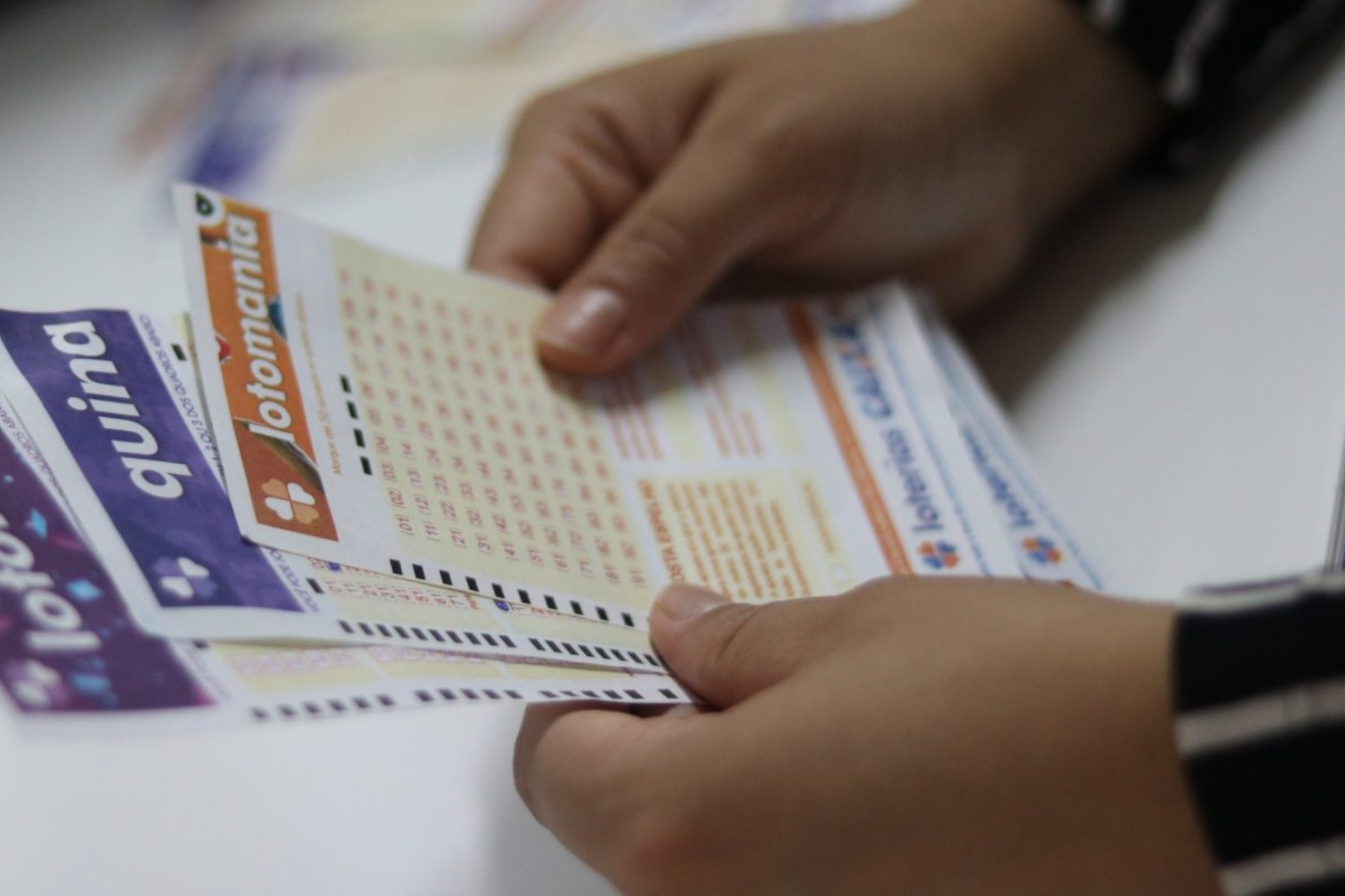 Loterias: resultado da Lotofácil 3641, Quina 6981 e Lotomania 2902