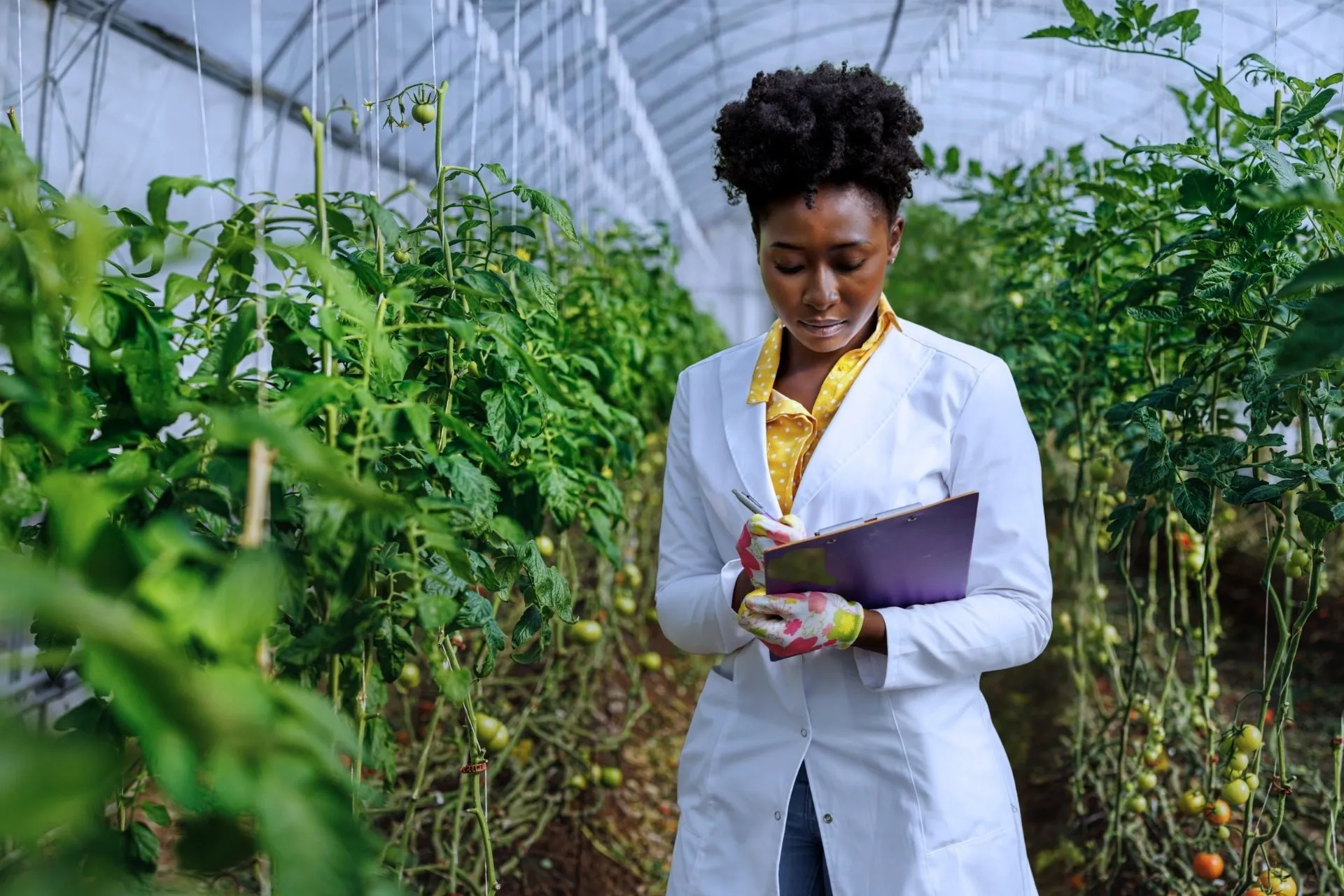 Mariana abre inscrições para o primeiro curso técnico em Agropecuária da cidade com 25 vagas gratuitas