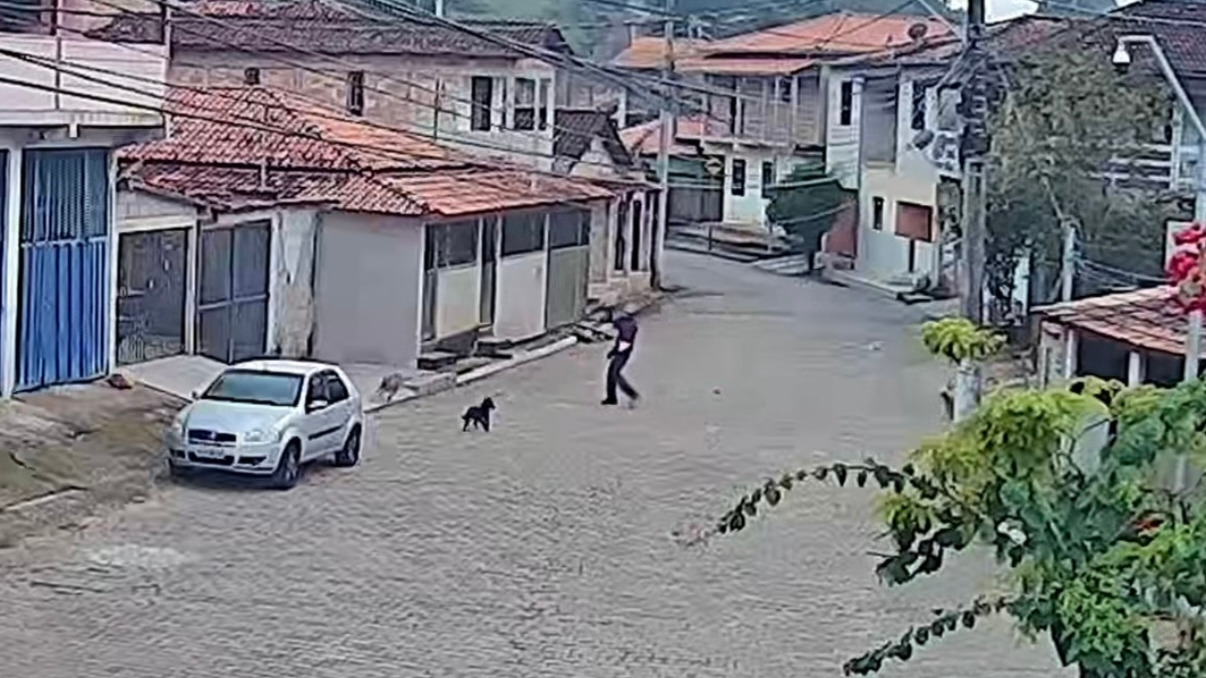Guarda Civil de Mariana procura suspeito de agredir animal em Cachoeira do Brumado