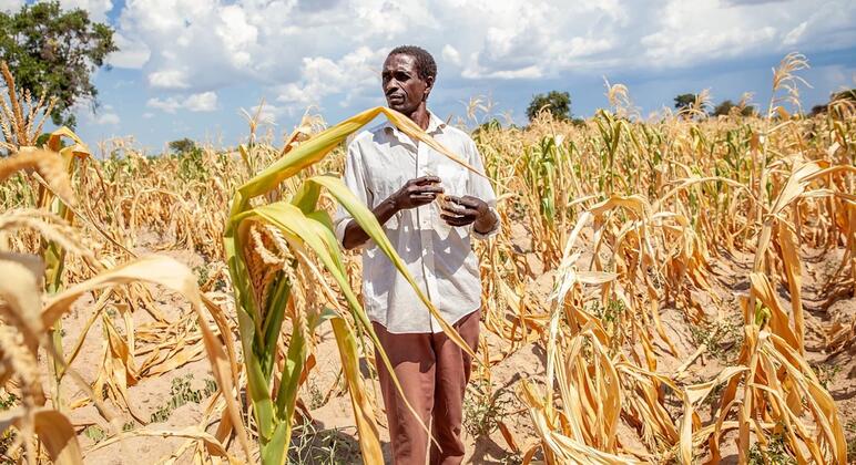 Mais quente e húmido, El Niño reforça chuvas no extremo leste de África